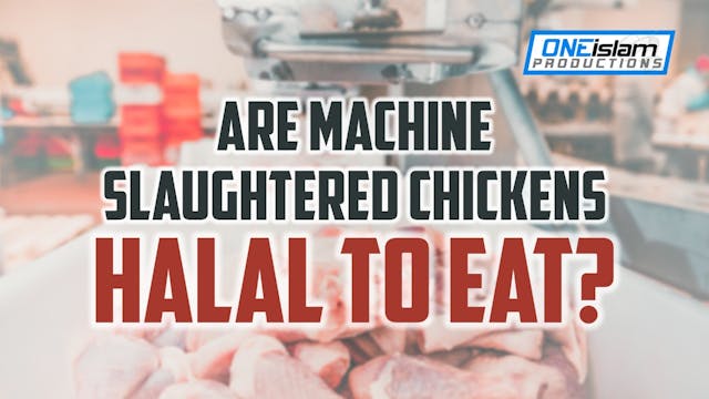 ARE MACHINE SLAUGHTERED CHICKENS HALA...