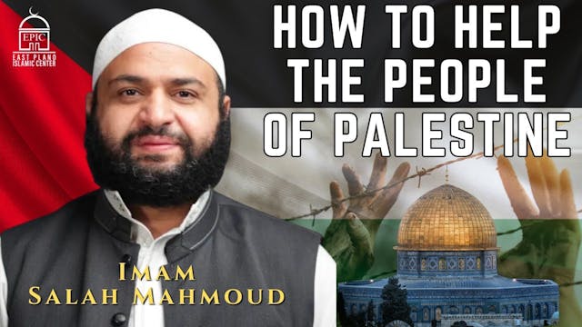 How to Help the People of Palestine