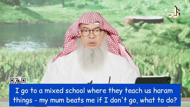 I Go To Mixed School Where They Teach...