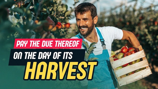 Pay The Due Thereof On The Day Of Its Harvest