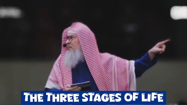 The three stages of life