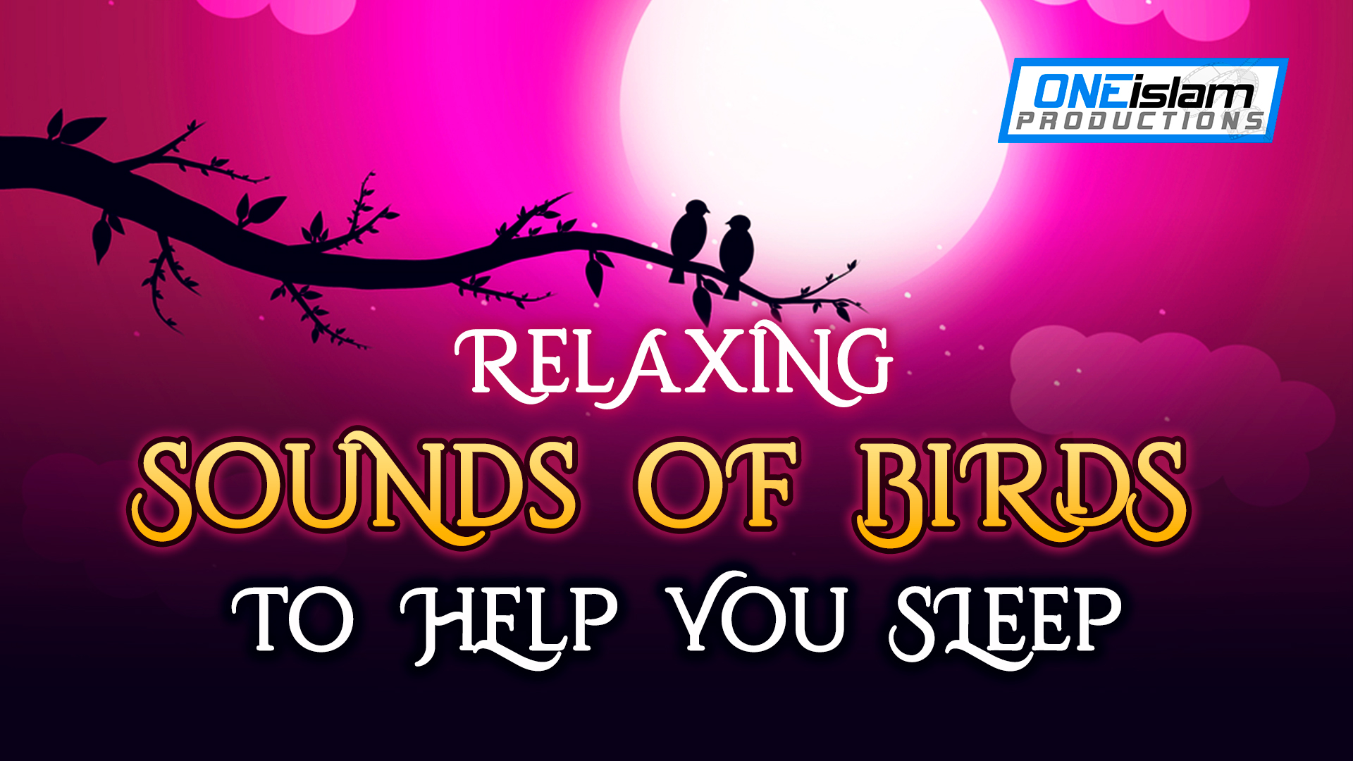 Relaxing Sounds Of Birds To Help You Sleep