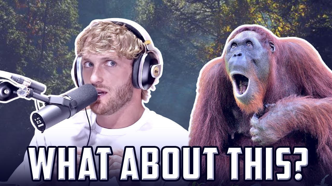 LOGAN PAUL APOLOGISES & TALKS EVOLUTION