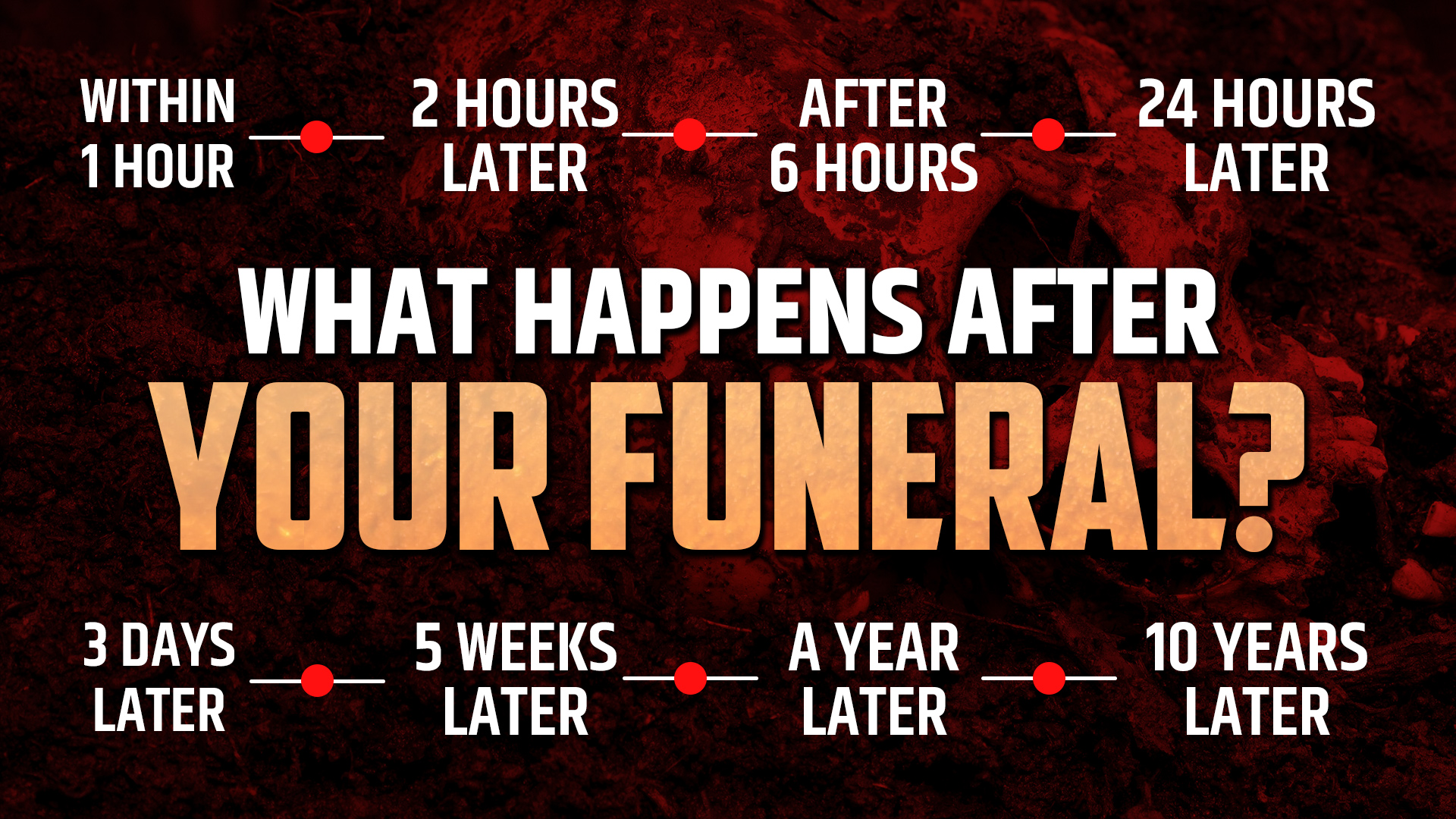 What Happens After Your Funeral 