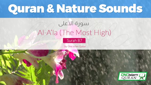 Surah Al-A'la