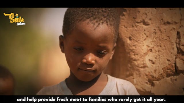 VIRAL HAJJ PLANE CRASH NEWS SHOCKS TH...