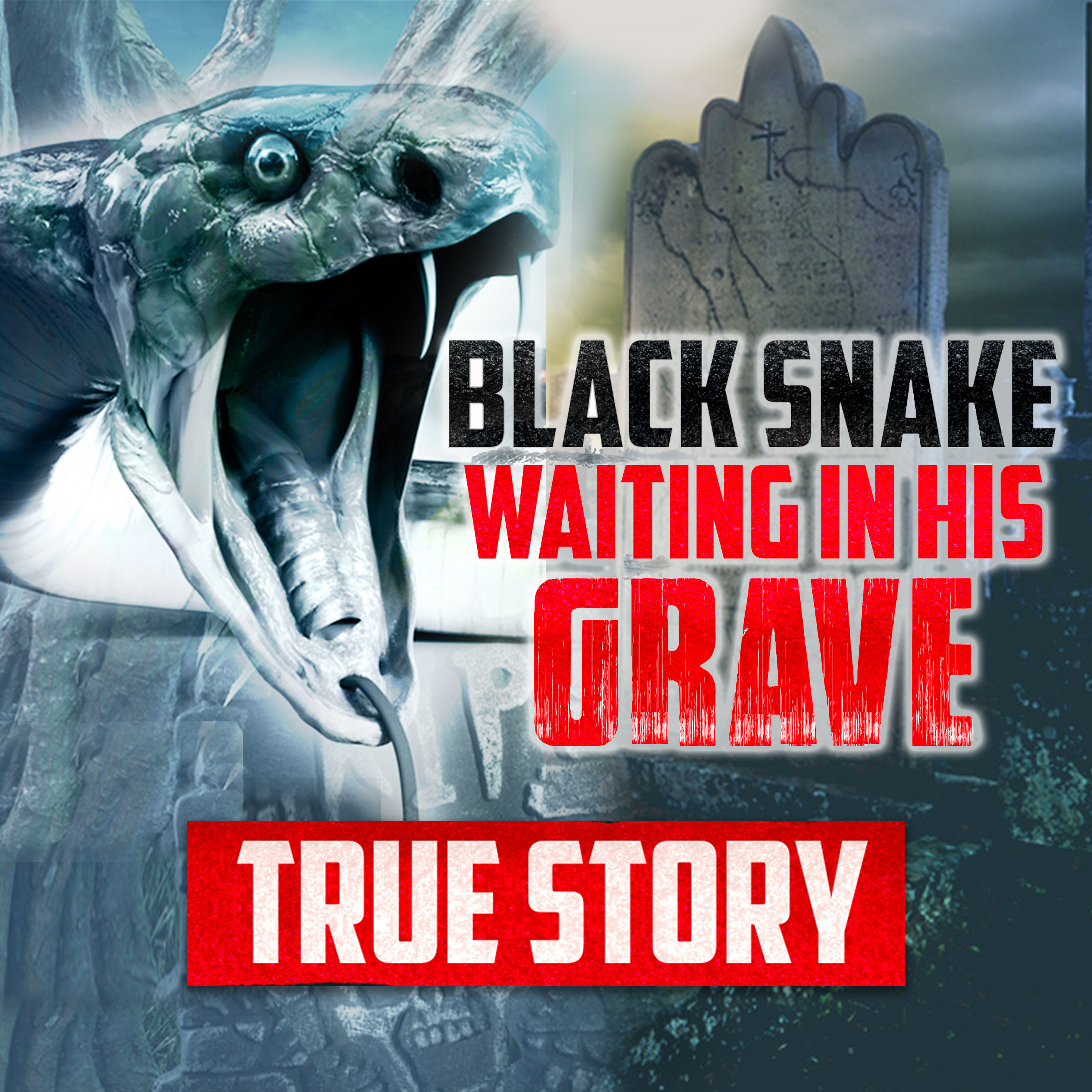 BLACK SNAKE WAITING IN HIS GRAVE (TRUE STORY)