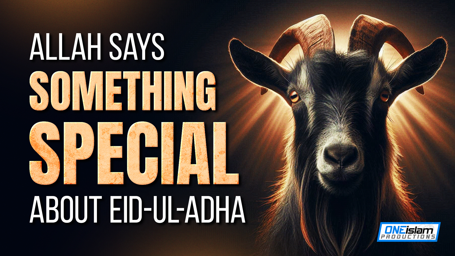 Allah Says Something Special About Eid-ul-Adha