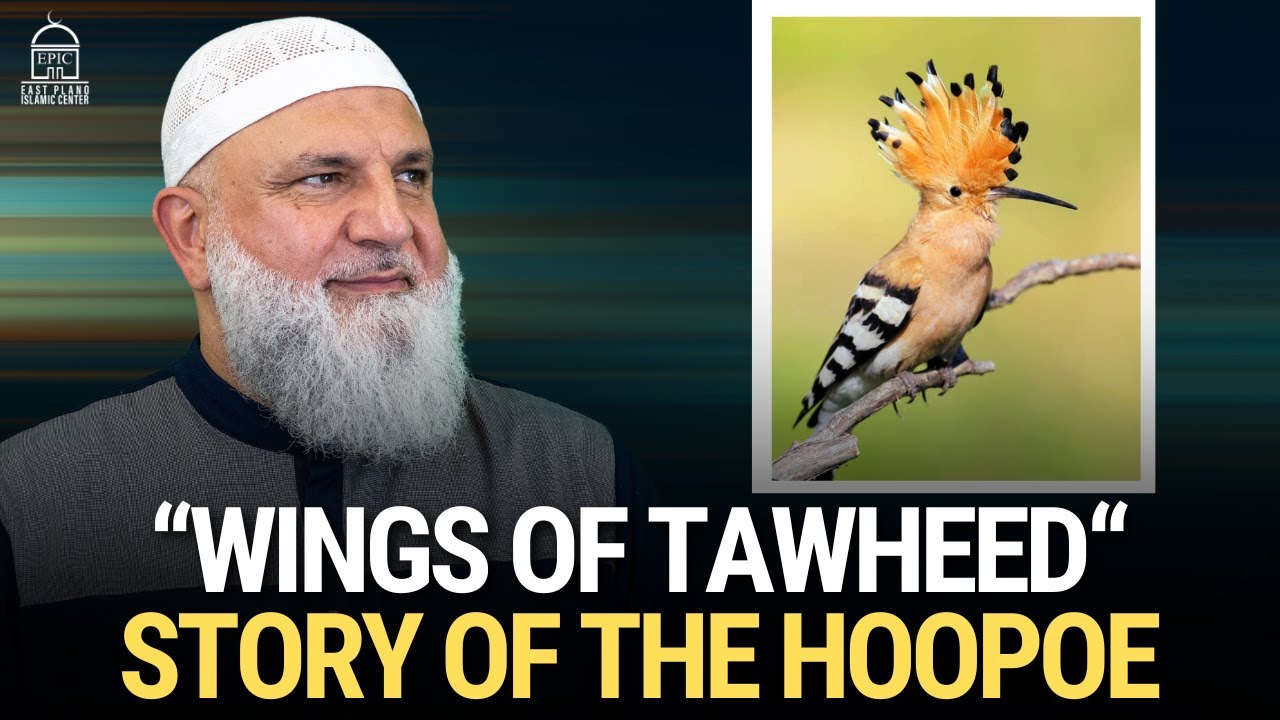 “Wings Of Tawheed“ Story of the HooPoe - Ustadh Mohamad Baajour