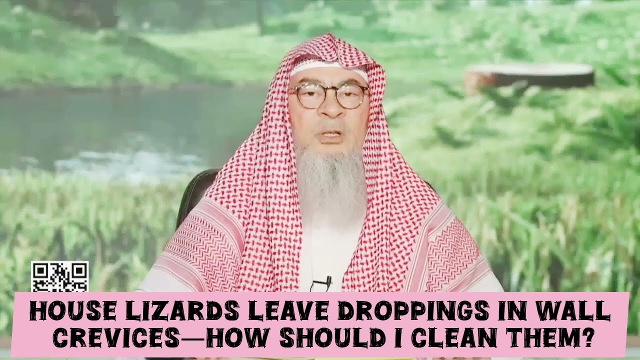 Lizard Droppings Impure - They Leave Droppings In Wall Crevices, How To Clean?