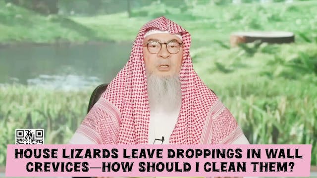 Lizard Droppings Impure - They Leave ...