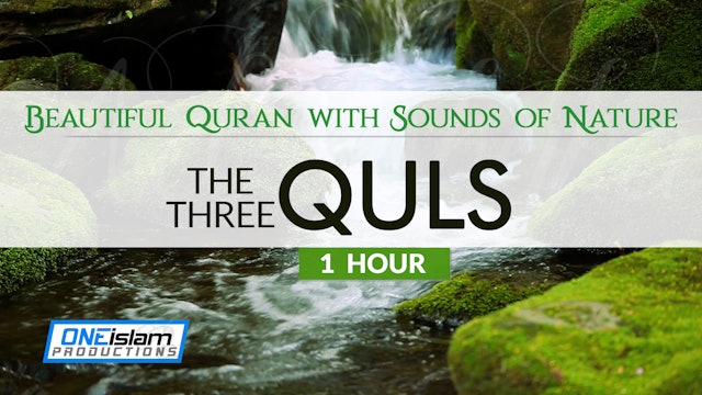 Listen, Relax & Learn | The 3 QULS 