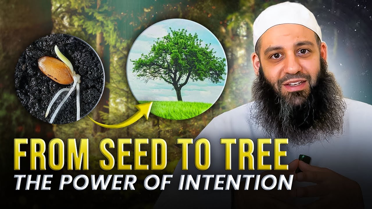 From Seed To Tree, The Power Of Intentions  Abu Bakr Zoud
