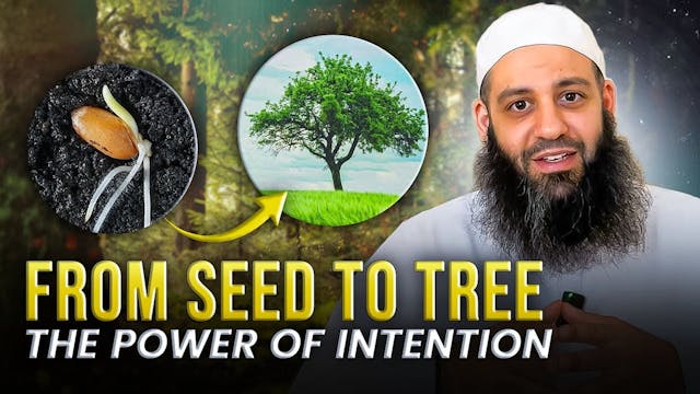 From Seed To Tree, The Power Of Inten...