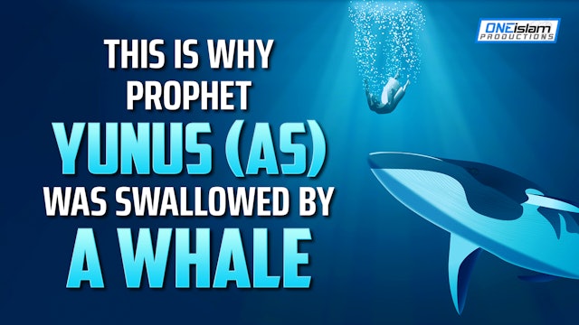THIS IS WHY PROPHET YUNUS (AS) WAS SWALLOWED BY A WHALE 