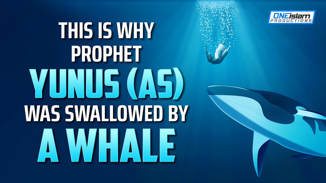 THIS IS WHY PROPHET YUNUS (AS) WAS SWALLOWED BY A WHALE True Stories