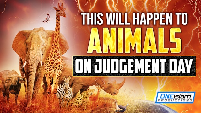 THIS WILL HAPPEN TO ANIMALS ON JUDGEMENT DAY 