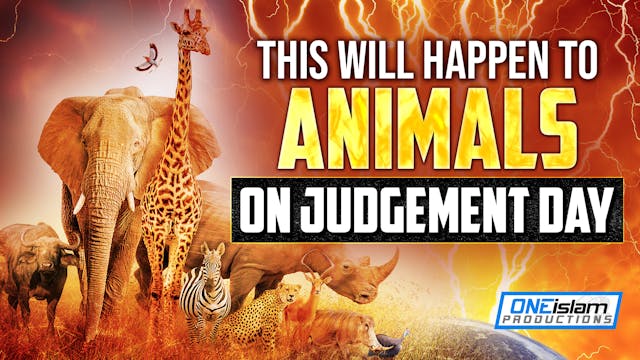 THIS WILL HAPPEN TO ANIMALS ON JUDGEM...