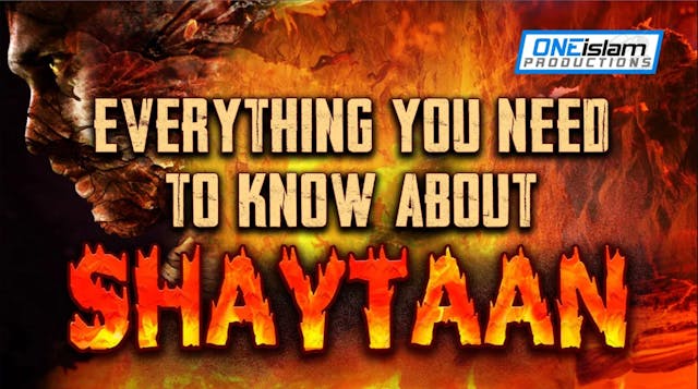 EVERYTHING YOU NEED TO KNOW ABOUT SHA...
