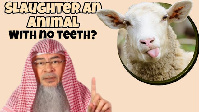 Can we slaughter an animal with no te...