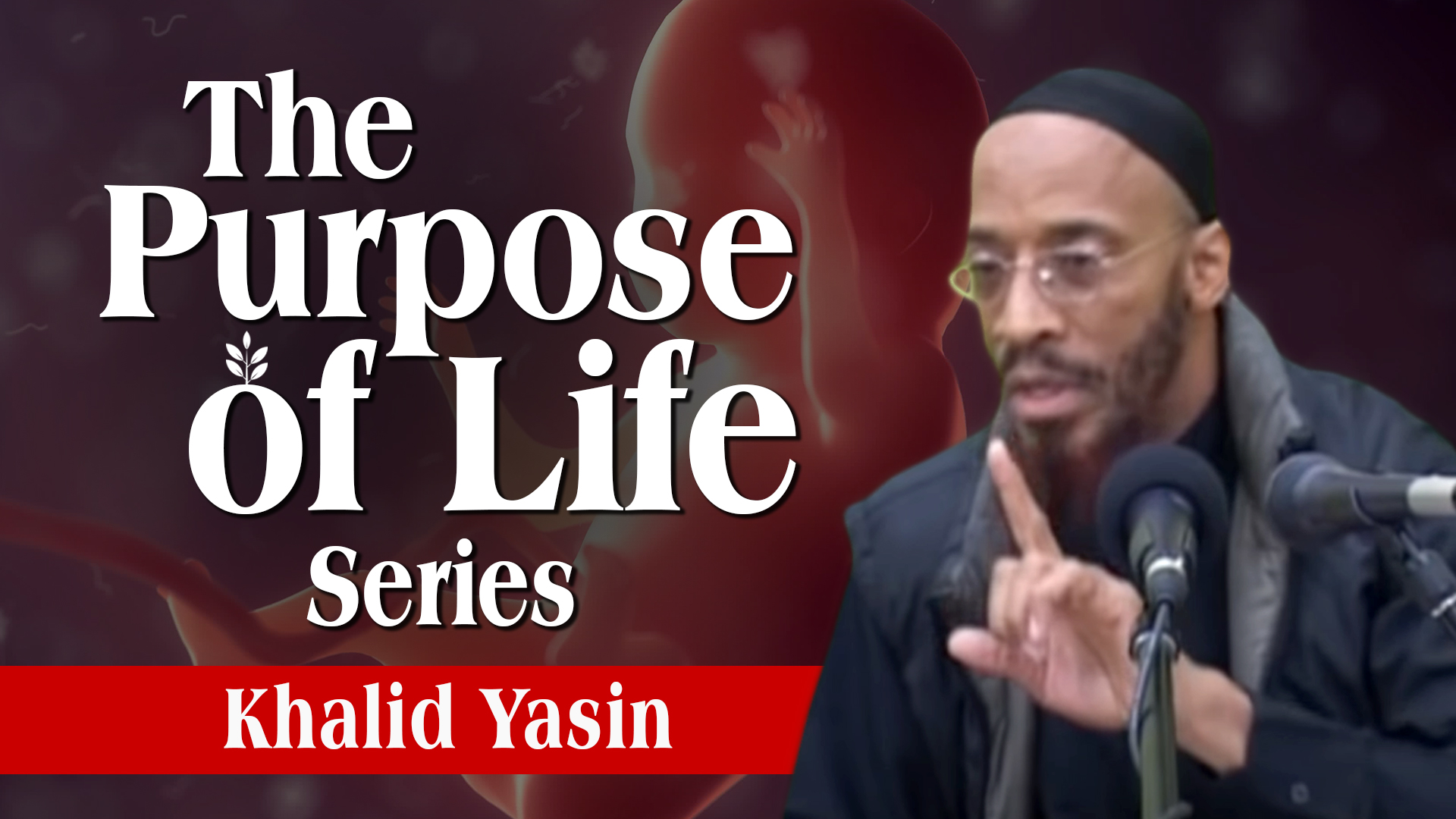 The Purpose Of Life Series