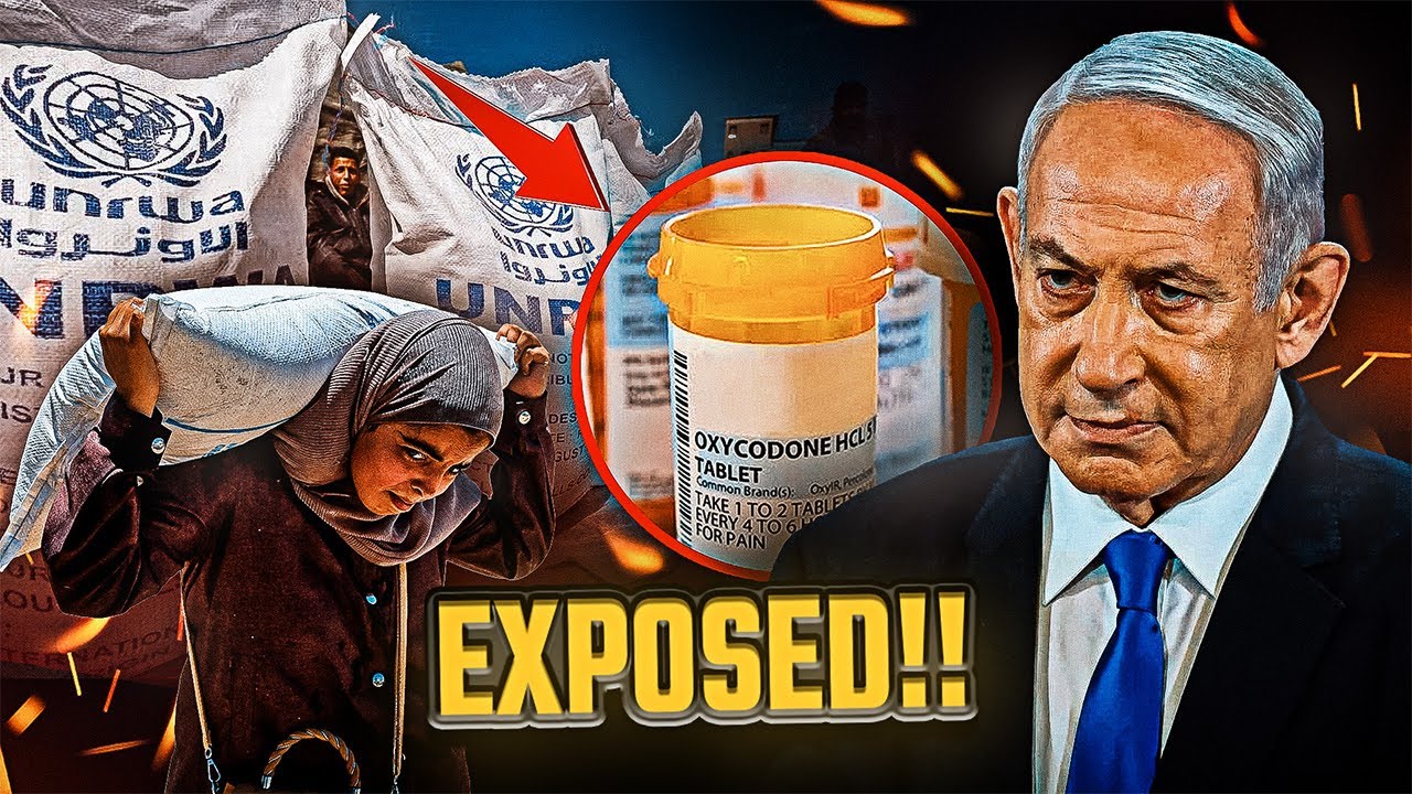 Palestinians Trusted the Aid… Then Collapsed