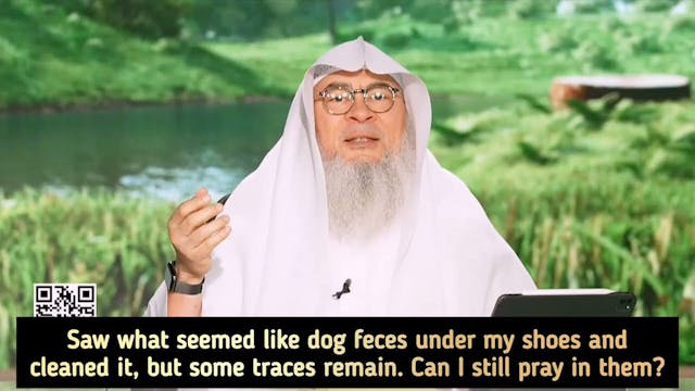 Dog Feces Under My Shoes, Cleaned But...