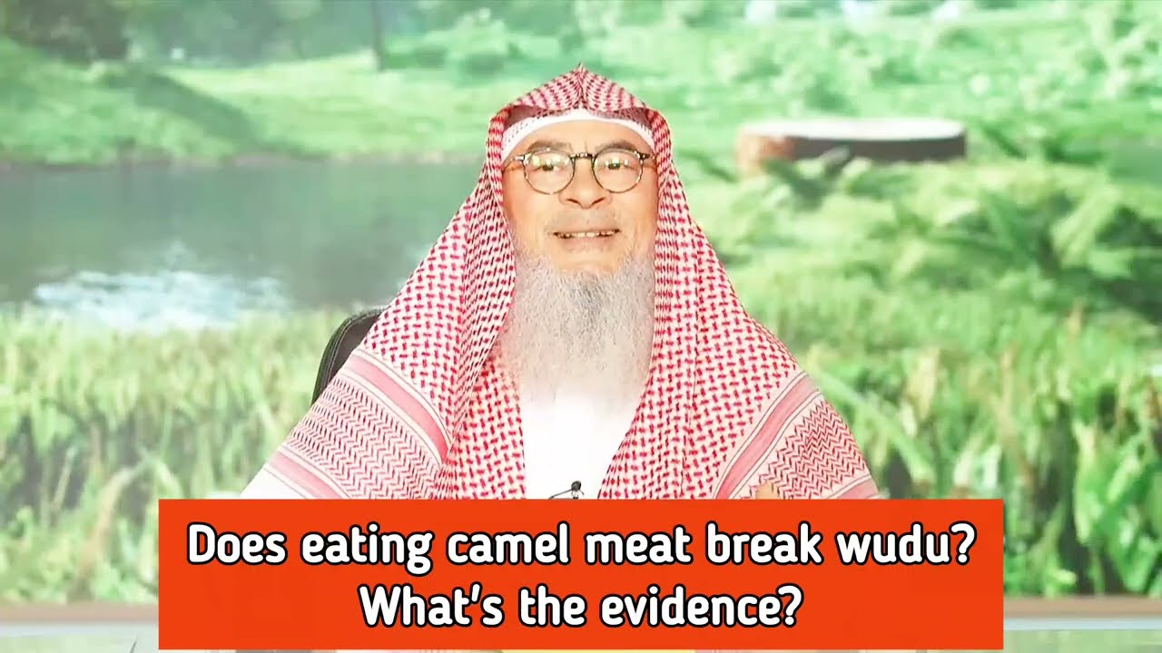 Does Eating Camel Meat Break Wudu, What's The Evidence?