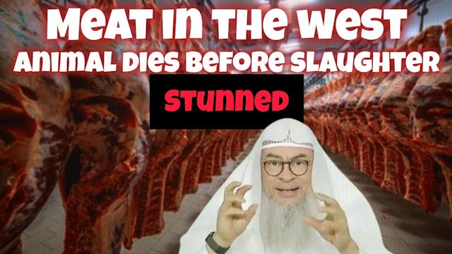 Eating meat in the west where animal ...