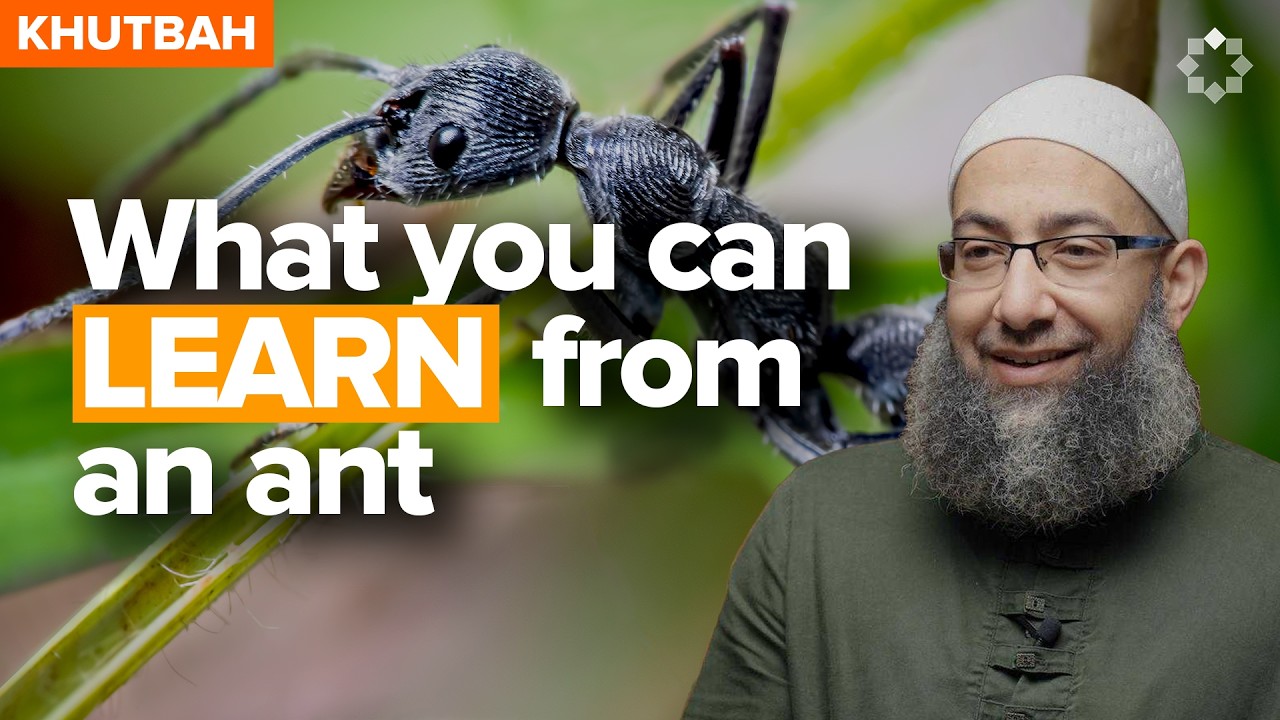 King Sulayman (AS) And The Ant That Spoke Up