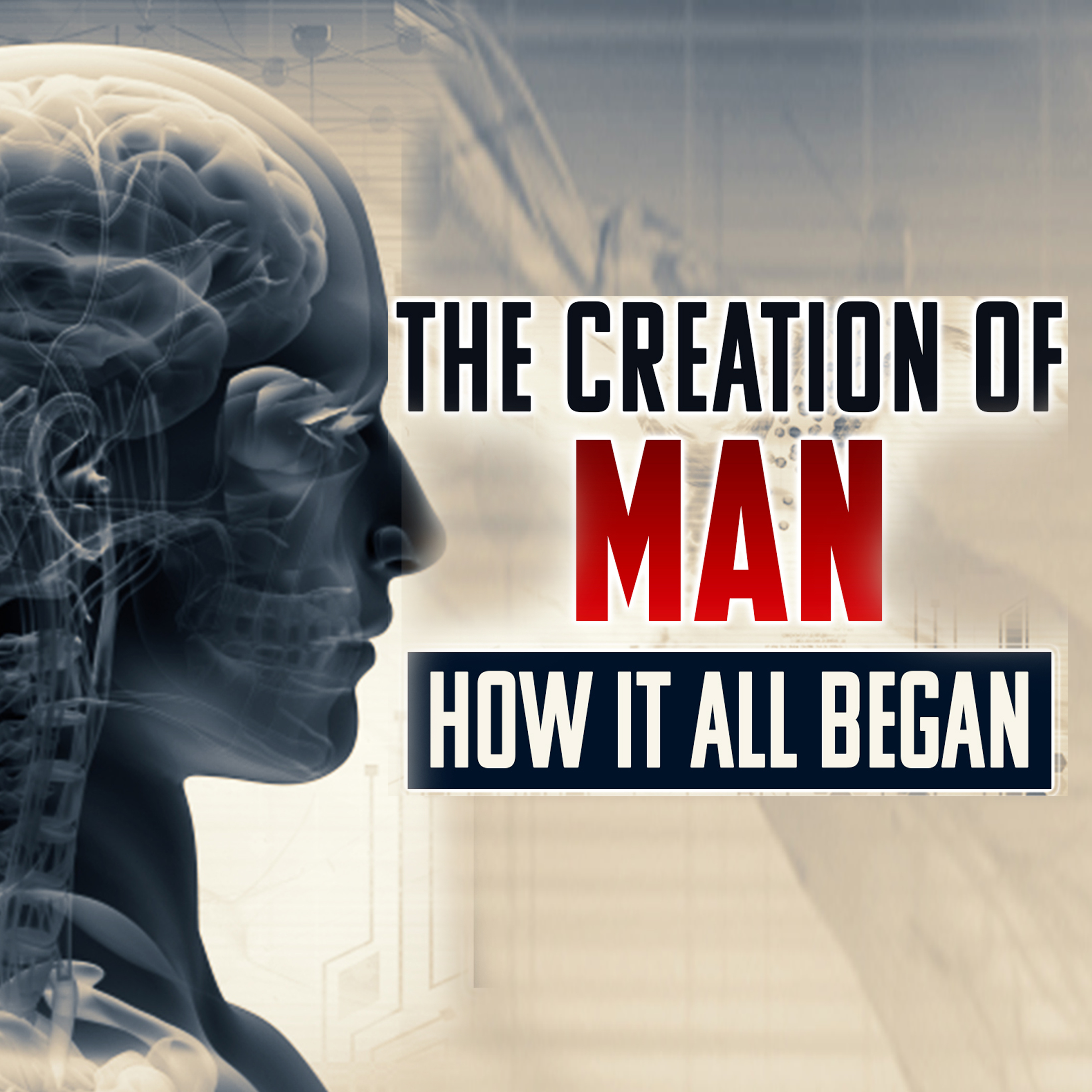 The Creation Of Man - How It All Began