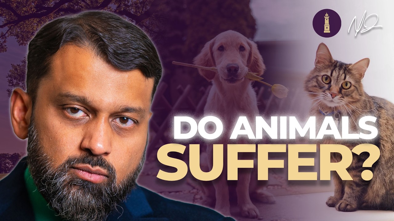 Animal Cruelty, Dunya vs. Akhirah & Other Trending Questions