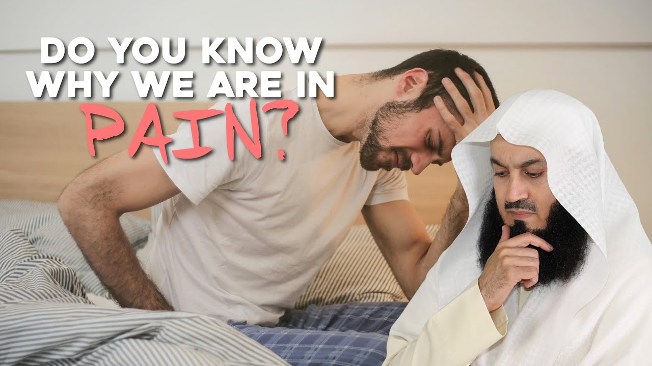 Do You Know Why We Are In Pain - Mufti Menk