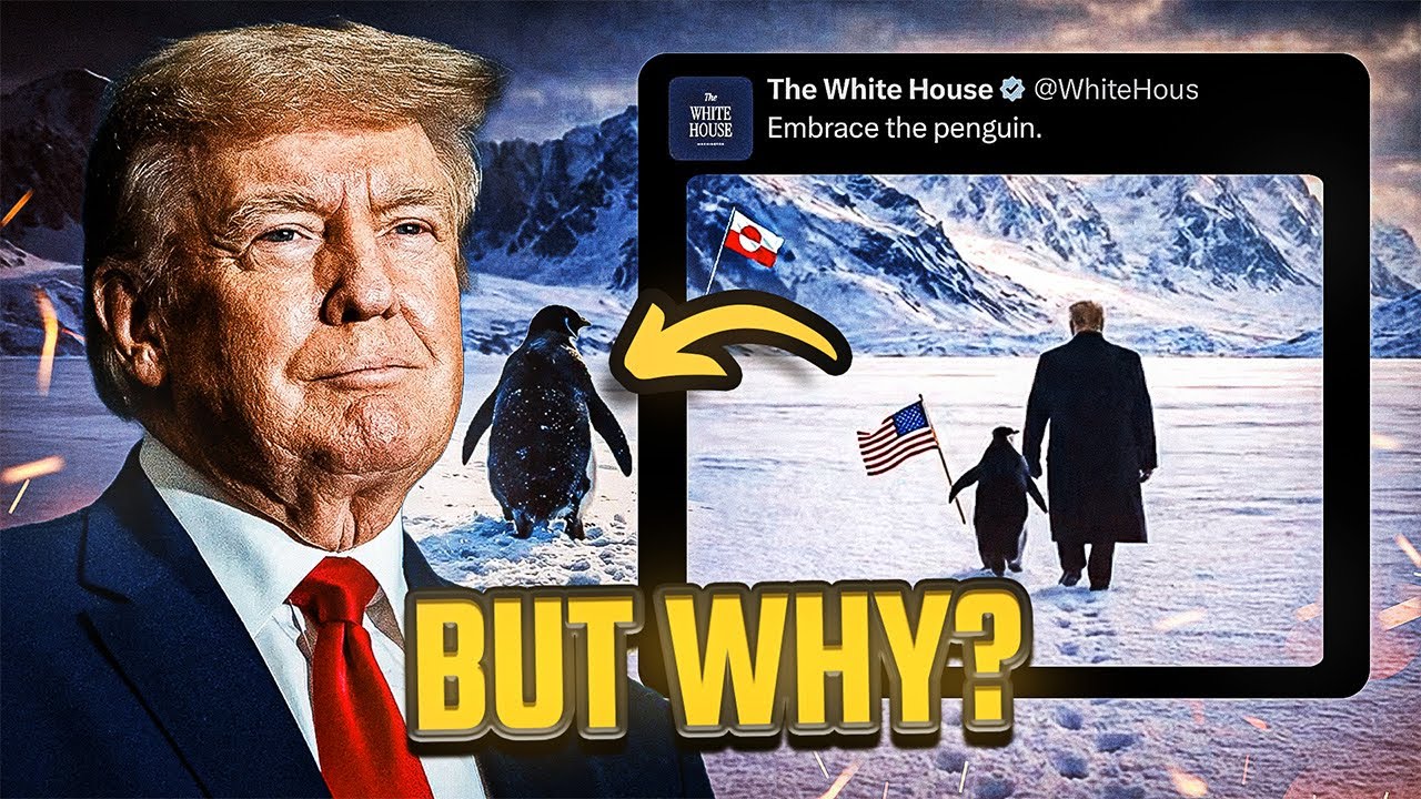 The Penguin Making Grown Men Cry