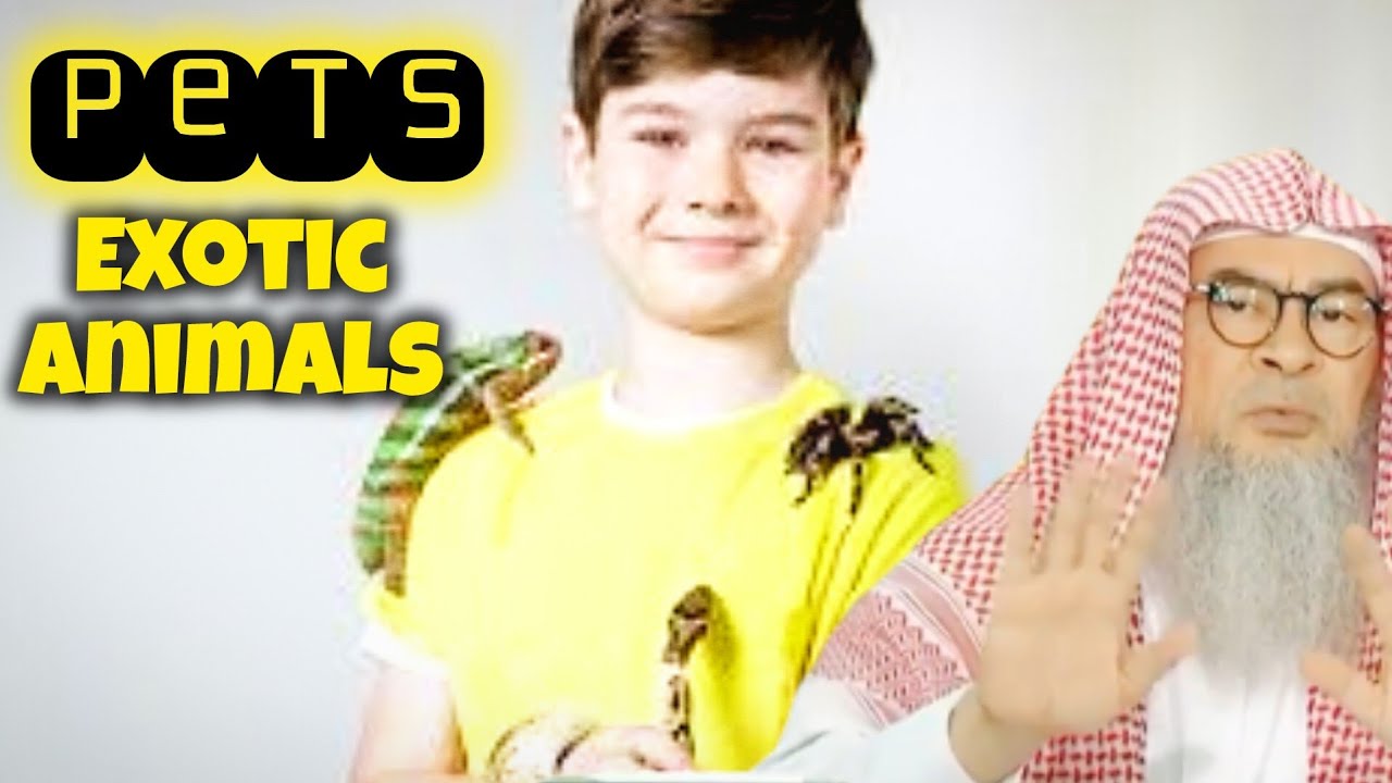 What animals are prohibited to keep as pets 