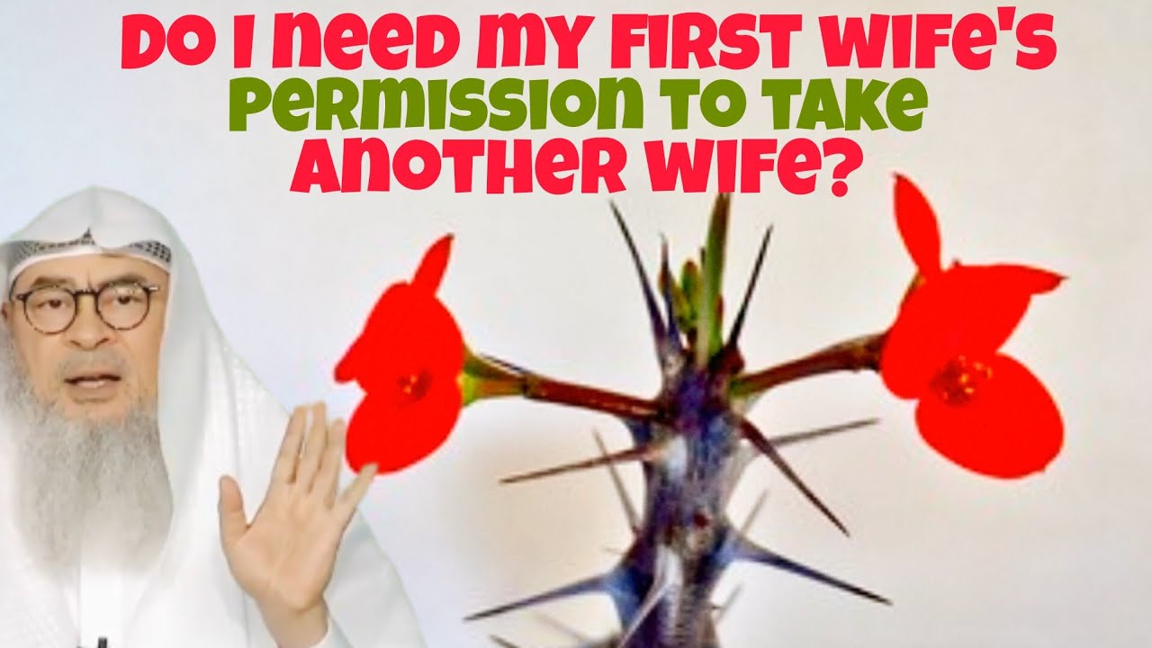 Does a man need his first wife's permission to take another wife 