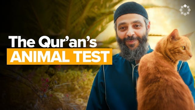 A Believer's Animal Personality Test