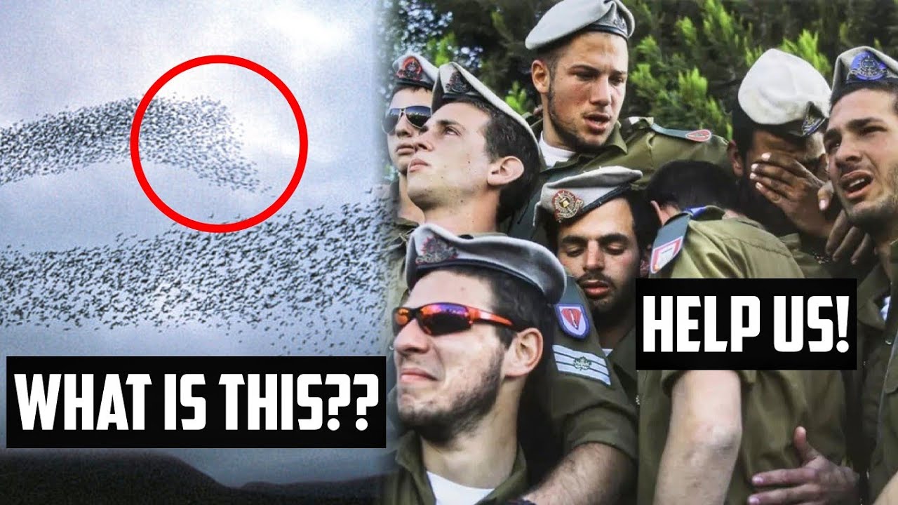 ALLAH SENT INSECTS TO FIGHT ISR4ELI SOLDIERS