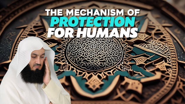 The Mechanism Of Protection For The H...