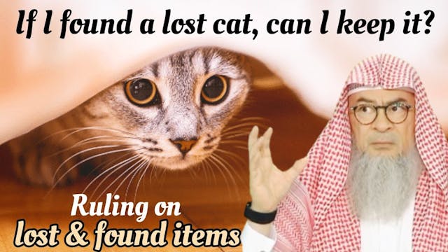 If I Found A Lost Cat, Can I Keep It?