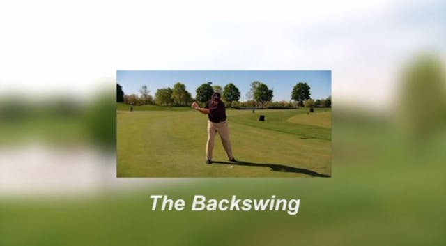 008 The Backswing