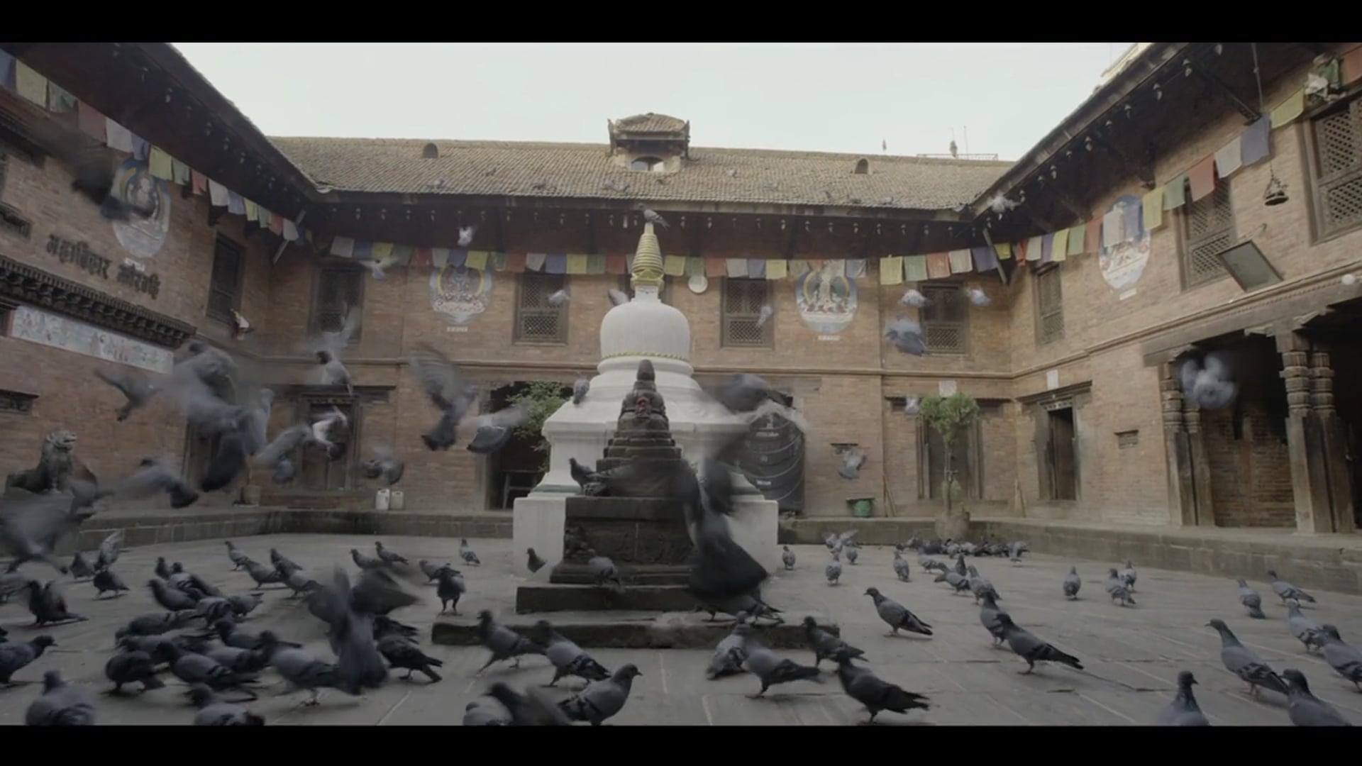 Chasing the Present - Trailer