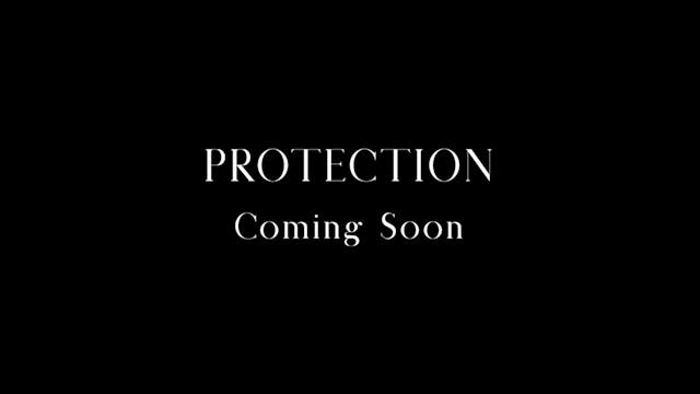 Protection - Trailer