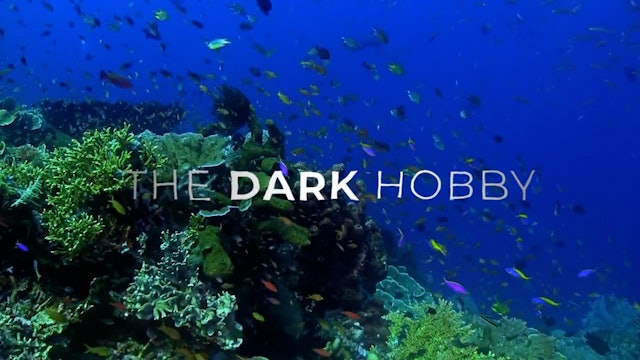 Aquariums: The Dark Hobby - Trailer