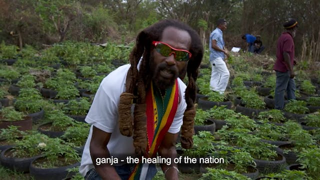 Healing of the Nation - Trailer