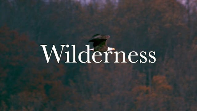 Wilderness- Trailer