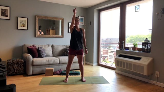 Giulia: Vestibular System Flow (65min)