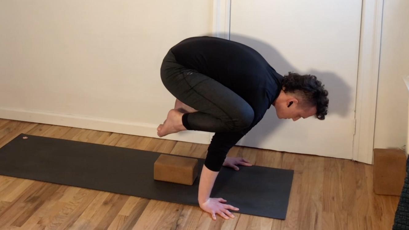 Kevin: Calves, Crows and Camels (63 Minutes)