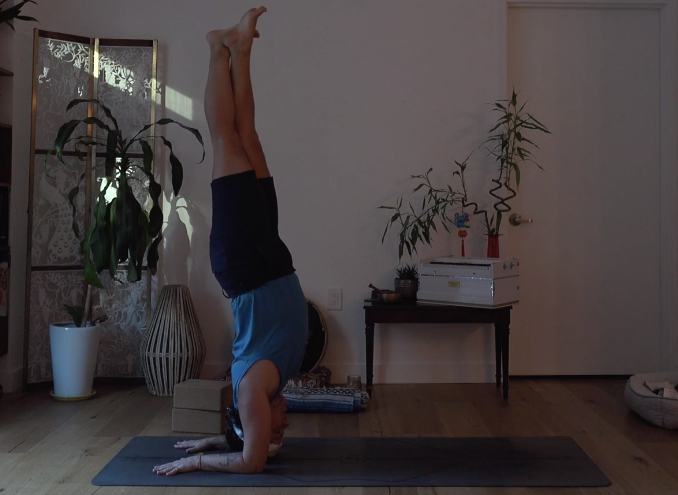Miles: Pincha Mayurasana (60 min)