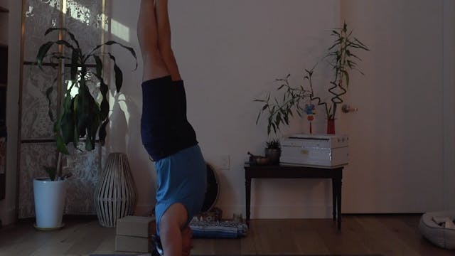 Miles: Pincha Mayurasana (60 min)